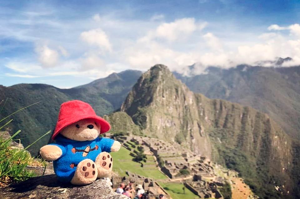 Paddington in Peru: Das wunderschöne Abenteuer in Machu Picchu